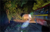 Wild elephant comes in way of bus at Charmady Ghat; vehicular movement hit